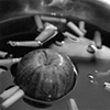Still Lifes