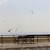 Coney Island, NY