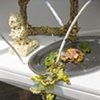 Untitled (Vitrine)