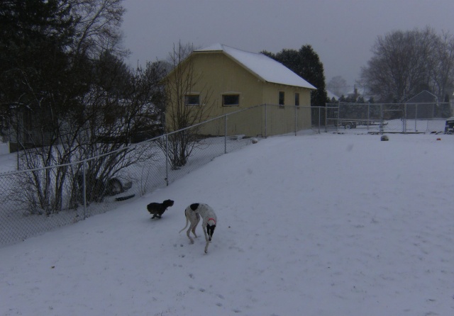 winter