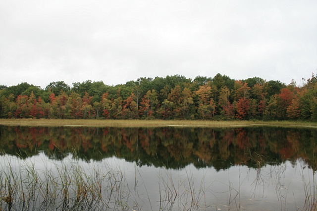 pond