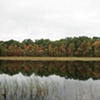 pond