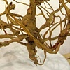 Tumbleweed