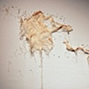 Remnants (Detail)