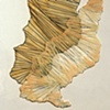 drawings