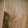 intra-