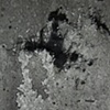Detritus (grey-scale)