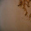 Detritus (Opulence)