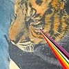 eye of the tiger