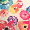 Poppy Love