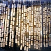Corks, 2007
