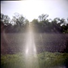 Field, 2008