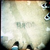 Turds, 2010