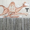 Racing Camel, 2007