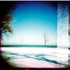 Winter Trees, 2007