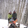 Dog sledding