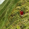 Hiker