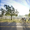 Bikers