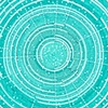 Detroit's Zebra and Blue Book Values