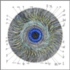 Peacock: Association Halo