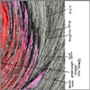 Feathers or Fur: Association Halo
text detail