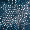 Point Paintings