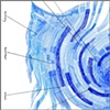 Circumstance Curves (in blue)
text detail