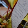Menu Design