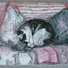 Sleeping Cat