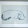 White Cat