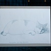 The Importance of Being Tzatziki (Portrait of the Cat Tzatziki)