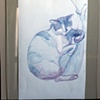 Cat on a Tree