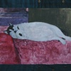 Sleeping Cat on Floor