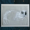 Panda Cat II