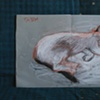 Orange Cat