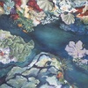 Coral Reef