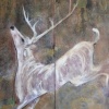 White Stag Screen