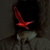 My heart has wings