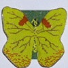 Orange Barred Sulfur