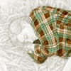 Moose Bed #1 (detail)