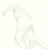 Sock Dragging #3