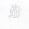 Potted Cactus