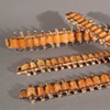 AMMO BELTS