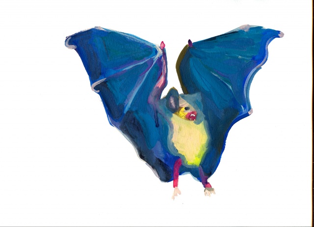 Bats