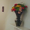 Efflorescence 