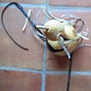 Out of My Gourd