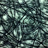 Movement and depth 