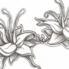 Tat Design 2