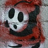 Shy Guy