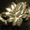 Ring 1: Industrial vs Nature (Lotus)